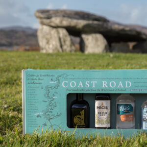 The Coast Road Gin Gift Set (4x100ml Bottles)